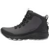 Dames L.I.M FH GTX Mid Schoenen -RenSnel OutdoorSchoenen Hub iview 3010306 001 pic1